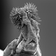 Weird beetle dick (Image Johanna Rönn)